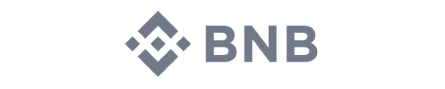 BNB Smart Chain on OSSChain